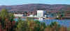 vermontplant.jpg (8320 bytes)